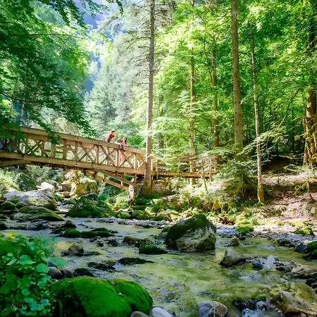 Διαμέρισμα L'edelweiss